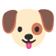 BFF TEST 01 BFF TEST 01